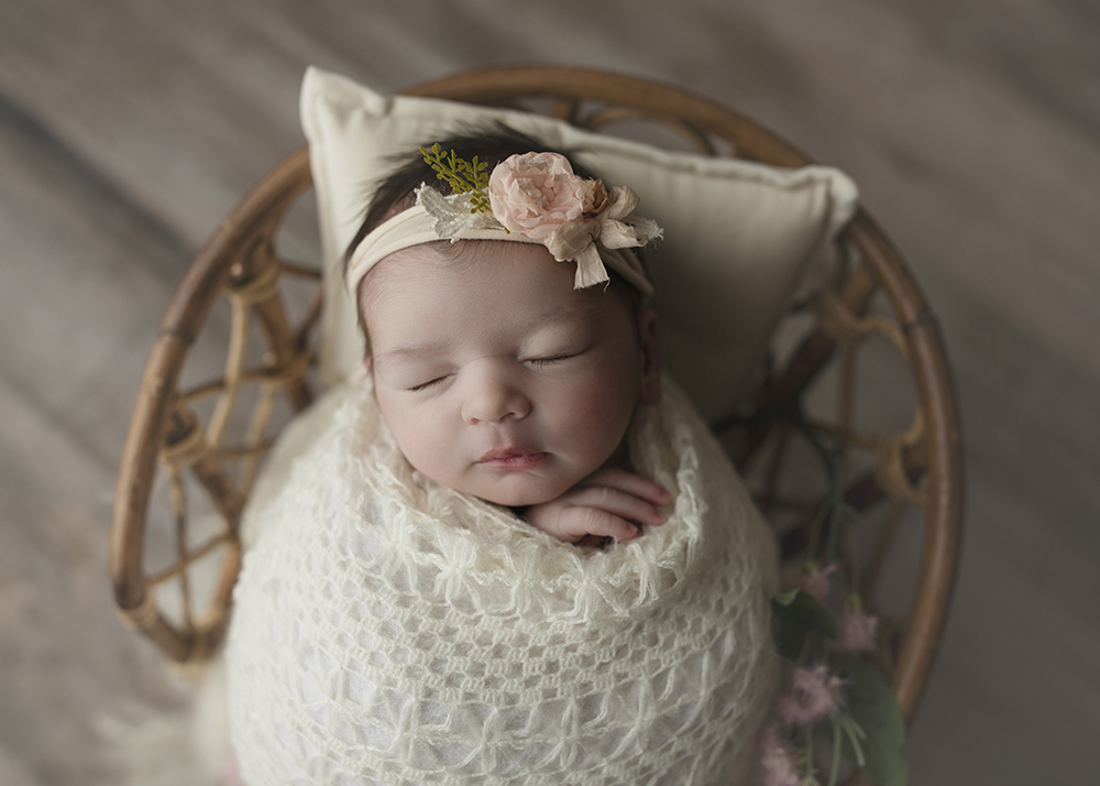 Castle Hayne newborn photographer
