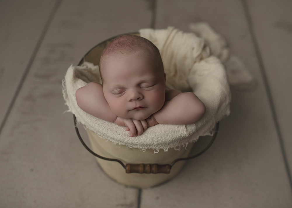Leland newborn photography