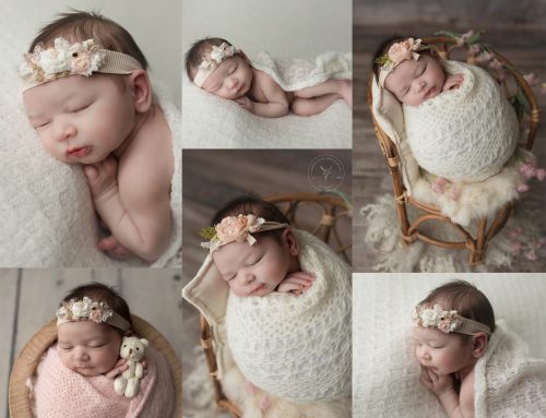 Miss Lily | Phoenix Newborn Photographer