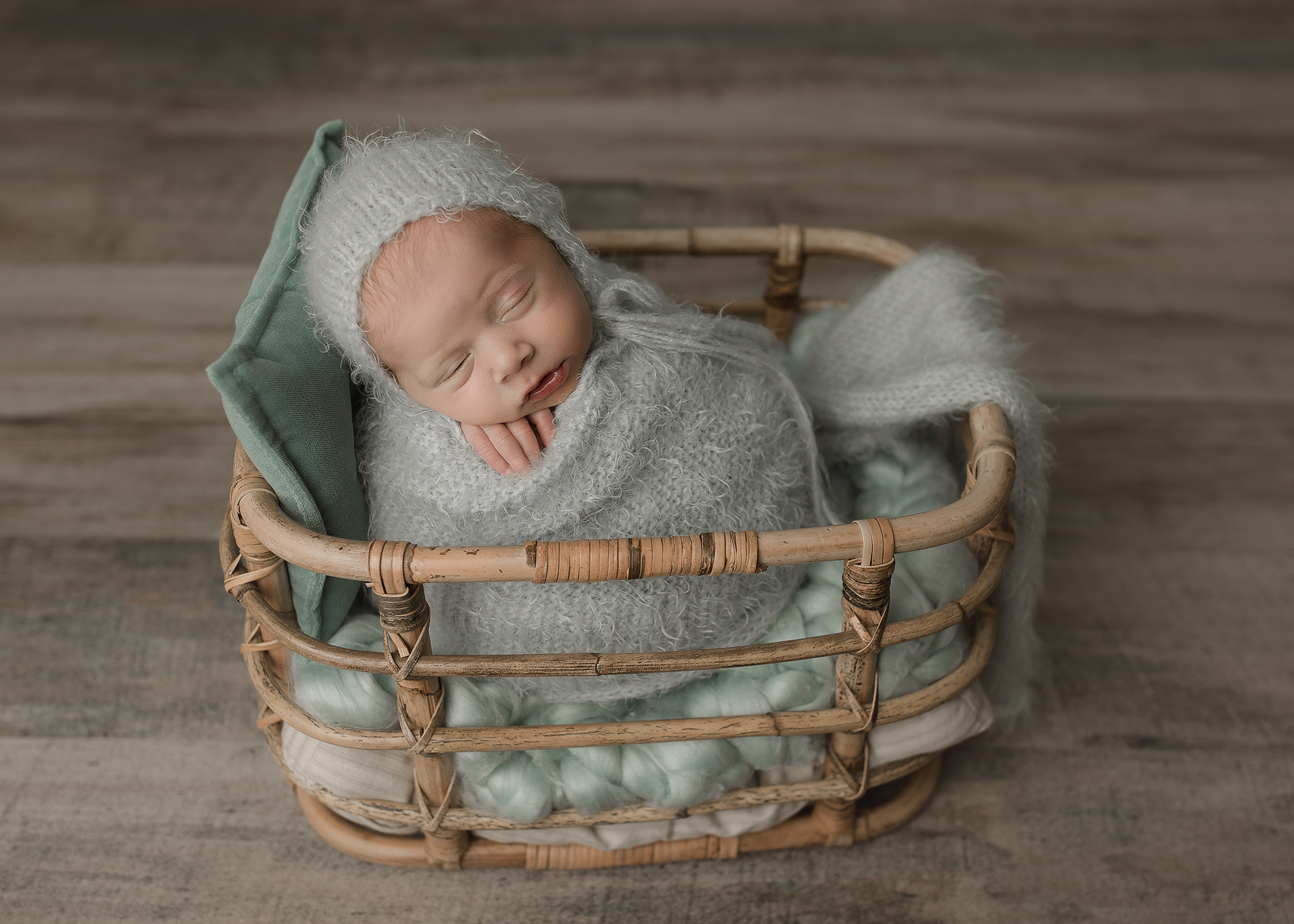 A Little Rainbow Baby Brother | Leland, NC Newborn Photographer