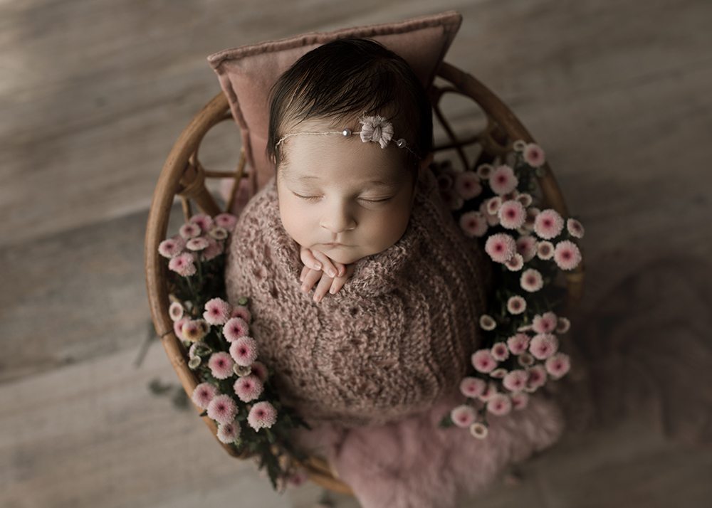 Leland newborn baby photography